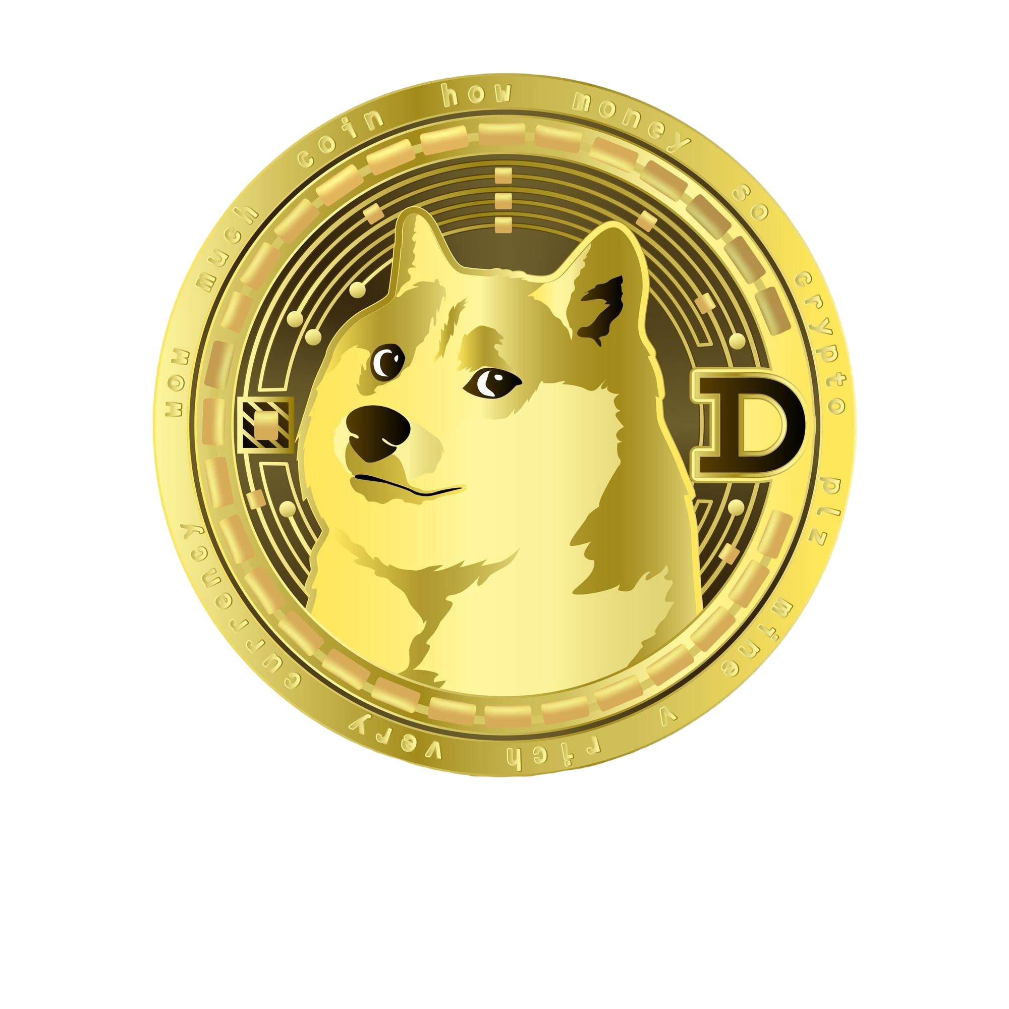 doge coin